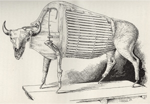 buffalo-taxidermy[1].JPG